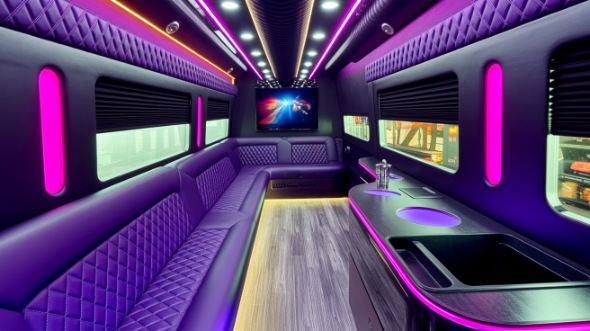 santa clarita sprinter limo rental inside